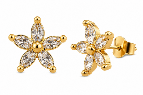 Star AD studs Earrings